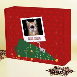 Adventskalender für Katzen zum selbst Füllen