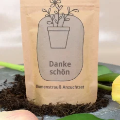 Anzuchtset - Danke schön Geschenk pflanzfertig