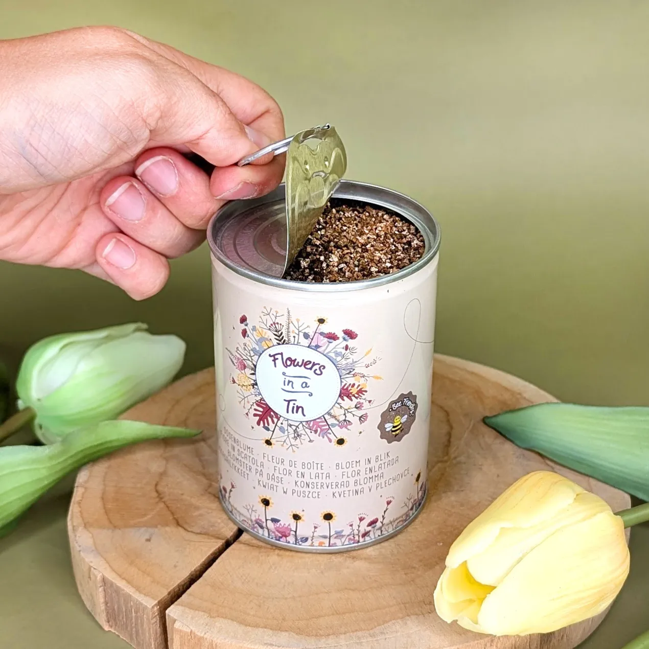 Blumenwiese in der Dose – bunte Auswahl an Blumensamen zum Selberziehen!
