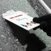 Du bist mir wichtelig - Eiskratzer