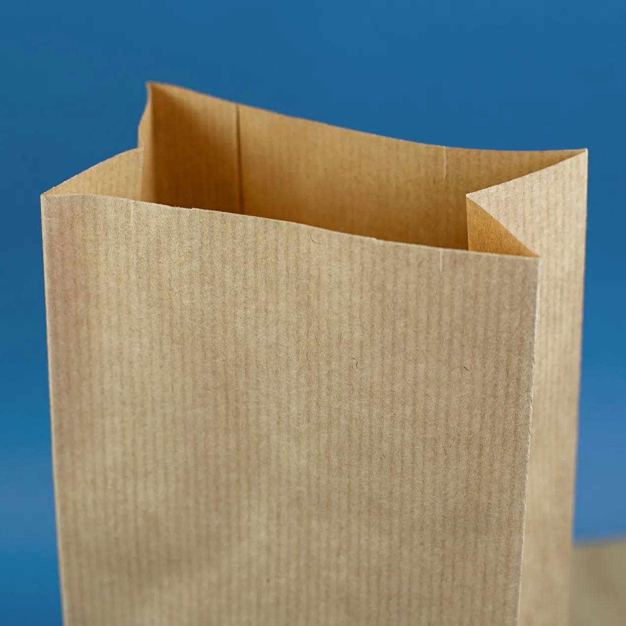 24er Set Blockbodenbeutel für DIY Adventskalender | Papiertüten zum Basteln