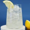 Geburtstagsgeschenk mit Bombay Gin, Tonic und graviertem Glas