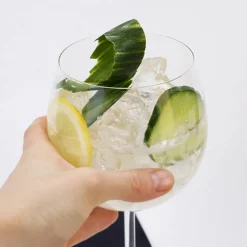 Gin-Glas mit Gravur ohne dich ist alles GINlos mit Wunschname