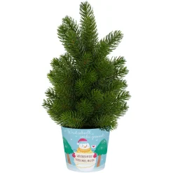 Kleiner Weihnachtsbaum personalisiert mit Wunschtext und 'Werd schnell wieder gesund' Motiv | Deko