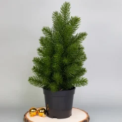 Mini Weihnachtsbaum mit Topf - naturgetreue hochwertige Deko für die Weihnachtszeit | Kunst-Kiefer