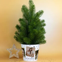 Mini Weihnachtsbaum personalisiert mit Fotos & Wunschtext | Geschenk zu Weihnachten und Advent