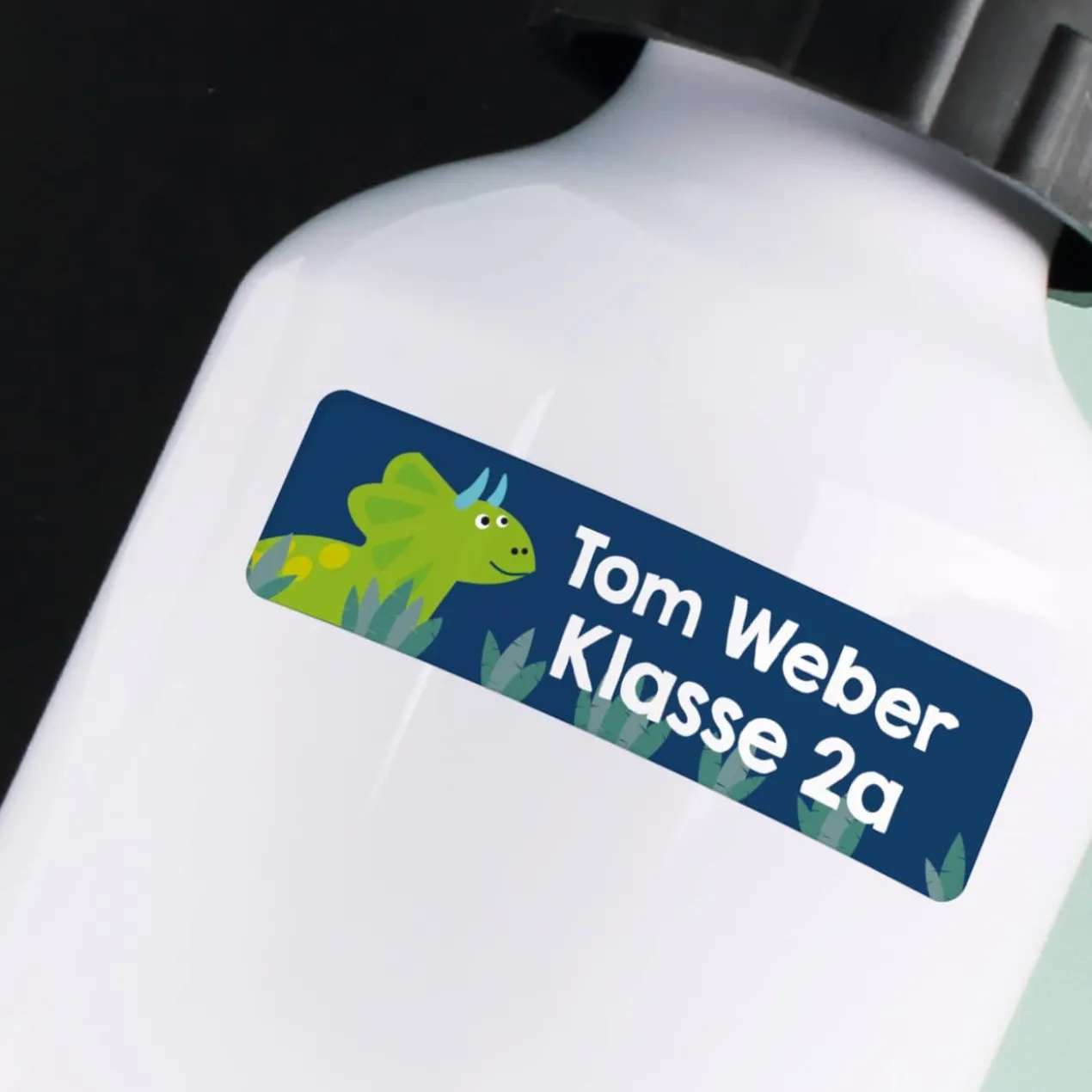 Namensaufkleber mit Dinosauriern