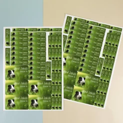 Namensaufkleber mit Meerschweinchen Motiv & Wunschtext personalisiert | Geschenk zur Einschulung