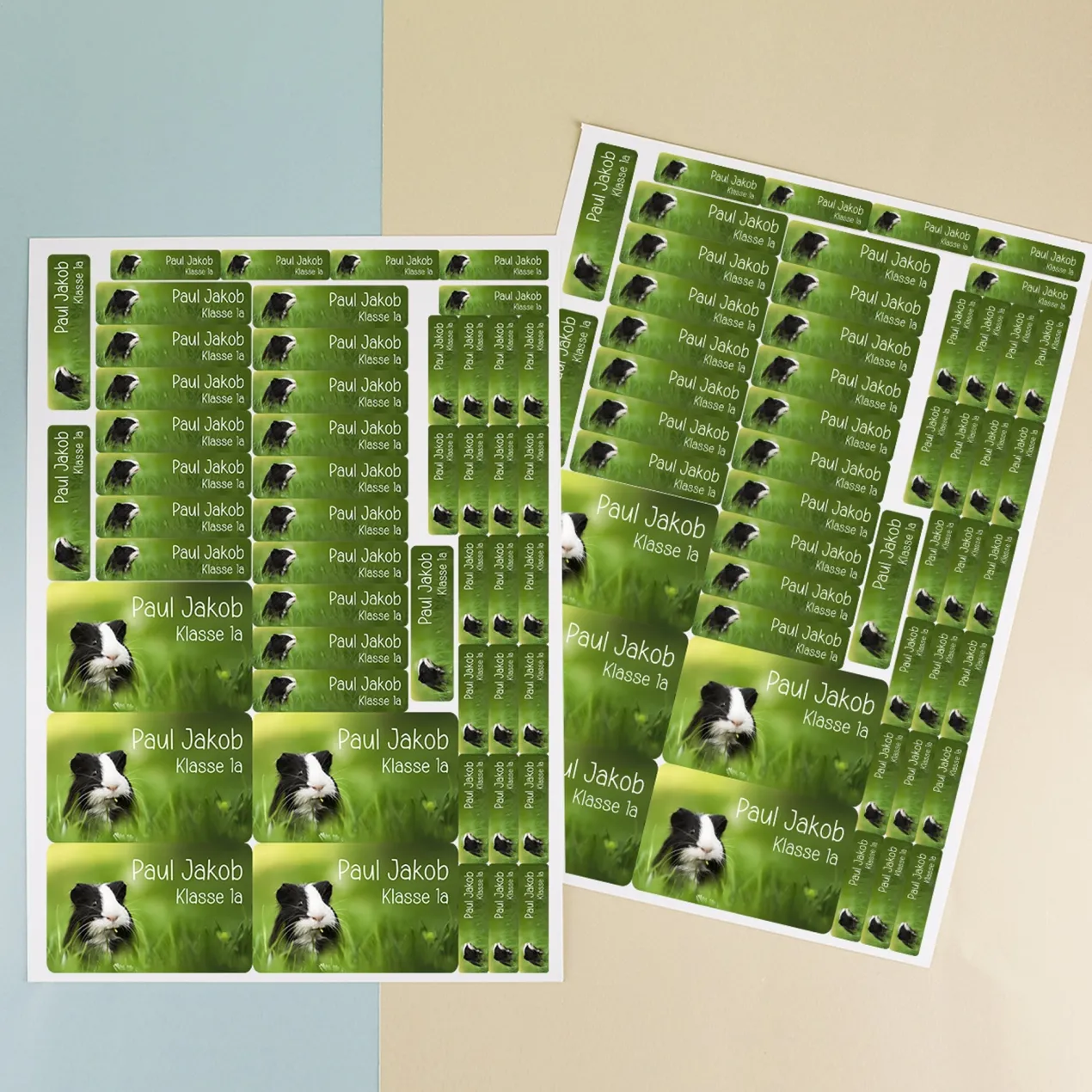 Namensaufkleber mit Meerschweinchen Motiv & Wunschtext personalisiert | Geschenk zur Einschulung