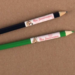 Namensaufkleber mit traumhaftem Pferdemotiv (100 Stück)