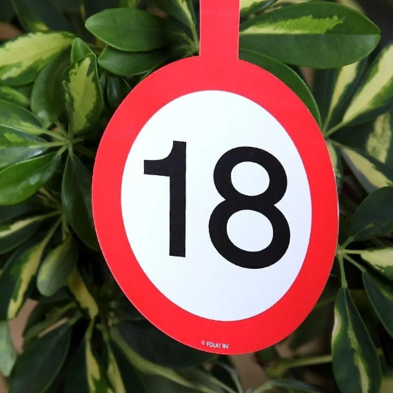 Papiergirlande Verkehrsschild 18