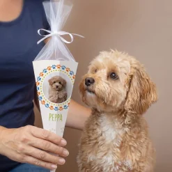 Personalisierte Schultüte für Hunde & Welpen mit Foto | Zuckertüte für Hundeschule | 28 cm