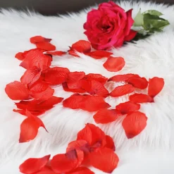 Rote Rosenblütenblätter