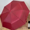 Taschen Regenschirm als Weinflasche Bordeaux
