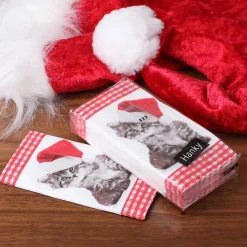 Taschentücher - Santa Kitty