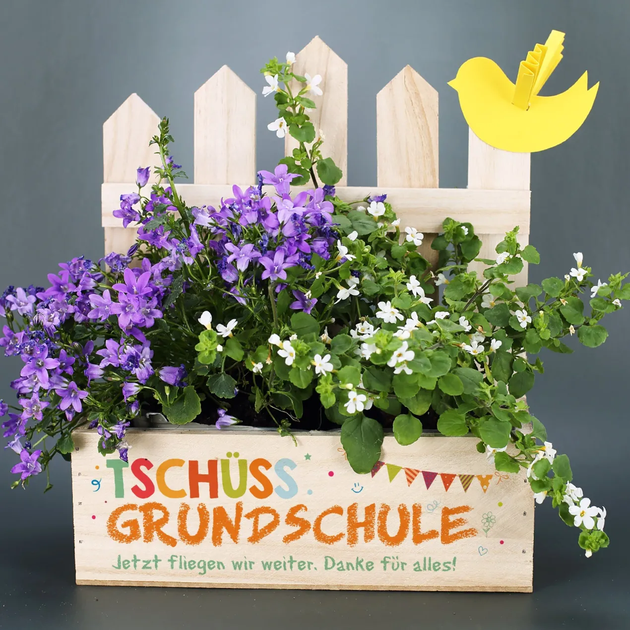 Tschüss Grundschule - Präsentkorb Pflanzkiste als Abschiedsgeschenk für Lehrer