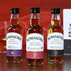 Whiskeyset mit 2 Gläsern und Bowmore Whisky für den Gentleman