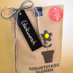 Wundertüten zum Verschenken